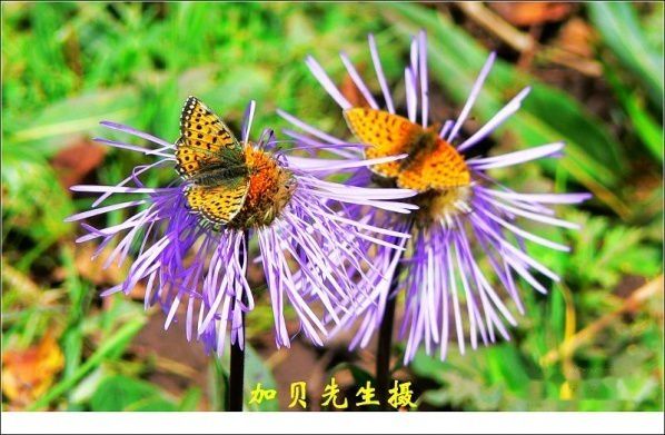 查看照片详细信息 天下民宿