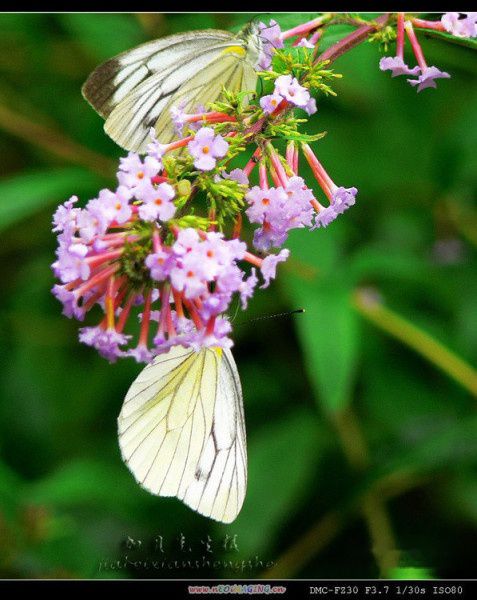 查看照片详细信息 天下民宿