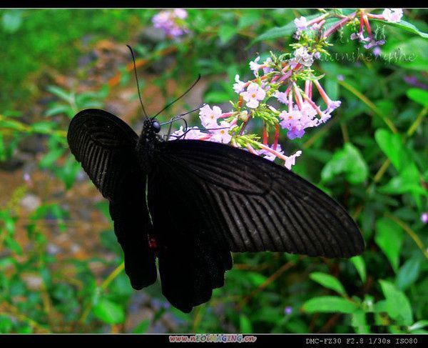 查看照片详细信息 天下民宿