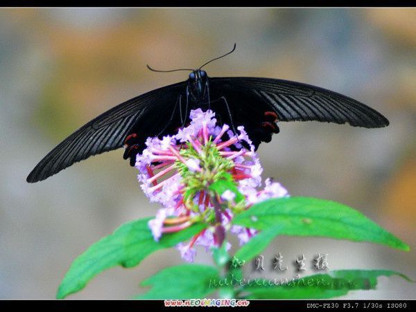 查看照片详细信息 天下民宿