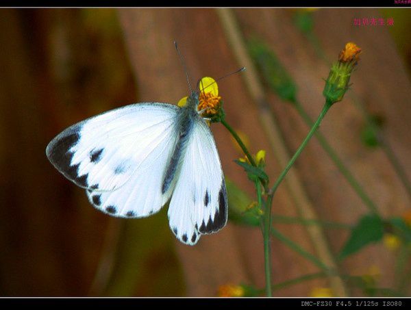 查看照片详细信息 天下民宿
