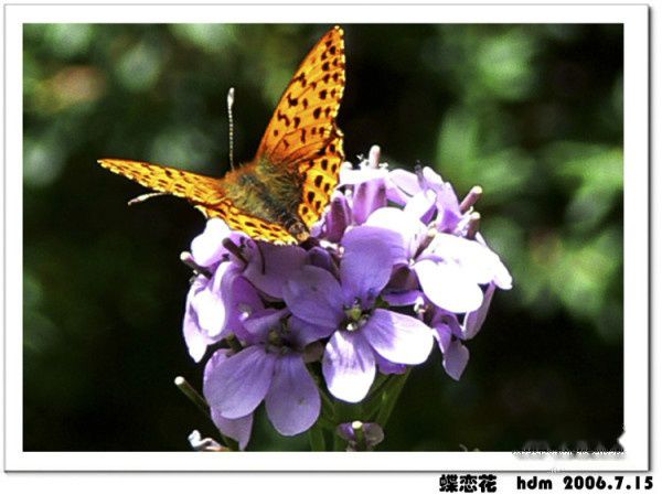 查看照片详细信息 天下民宿