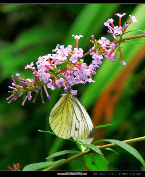 查看照片详细信息 天下民宿