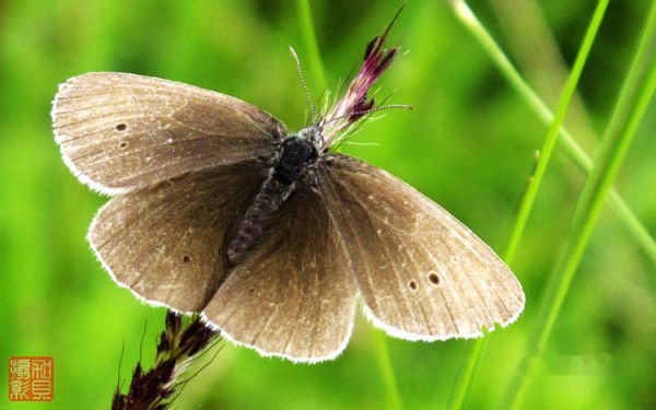 查看照片详细信息 天下民宿