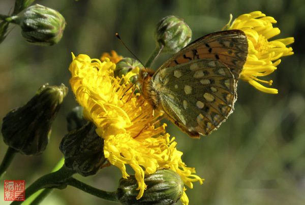 查看照片详细信息 天下民宿