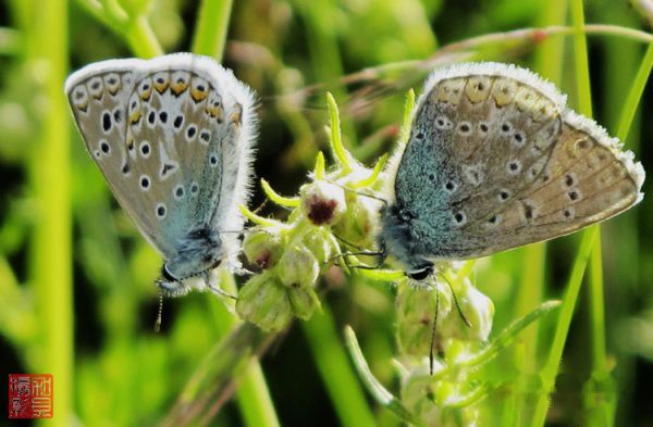 查看照片详细信息 天下民宿