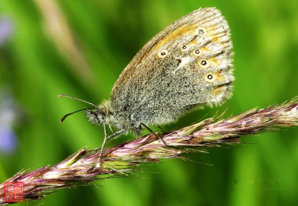 查看照片详细信息 天下民宿