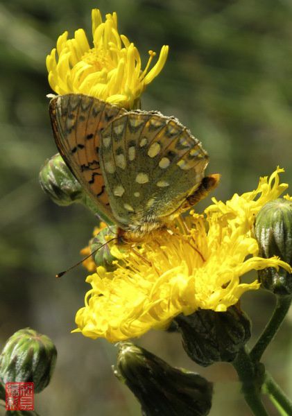 查看照片详细信息 天下民宿