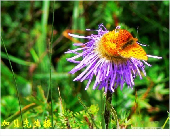 查看照片详细信息 天下民宿