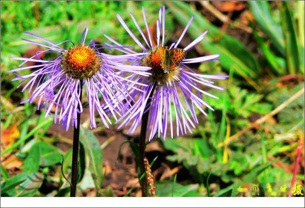 查看照片详细信息 天下民宿