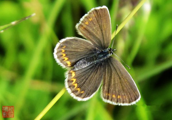 查看照片详细信息 天下民宿