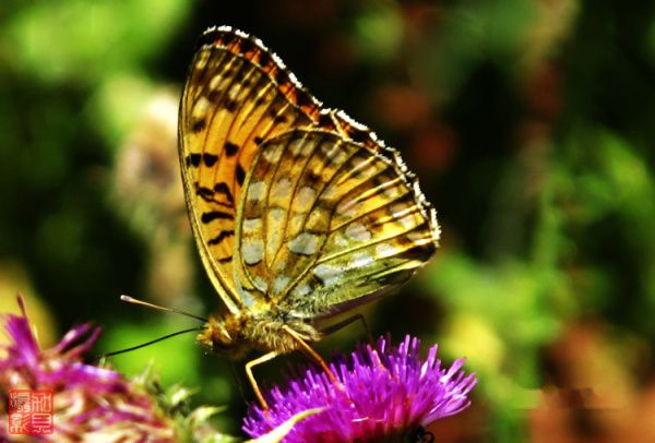 查看照片详细信息 天下民宿