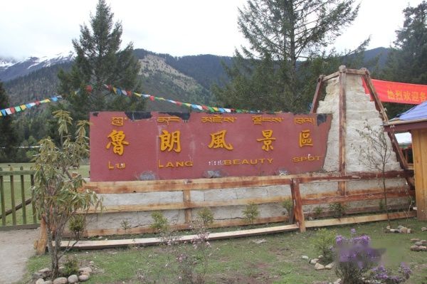 查看照片详细信息 天下民宿