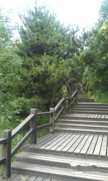 查看照片详细信息 天下民宿