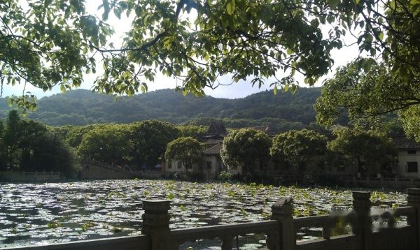 查看照片详细信息 天下民宿