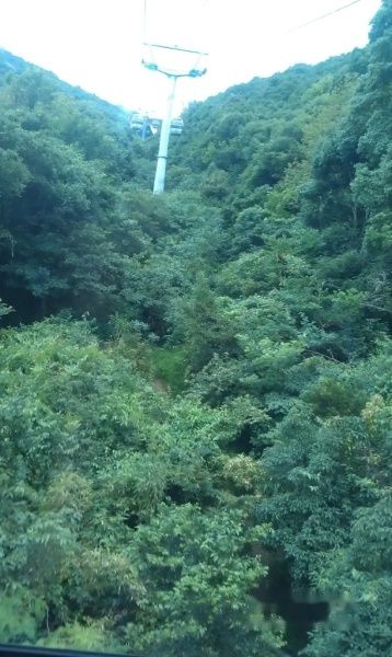 查看照片详细信息 天下民宿