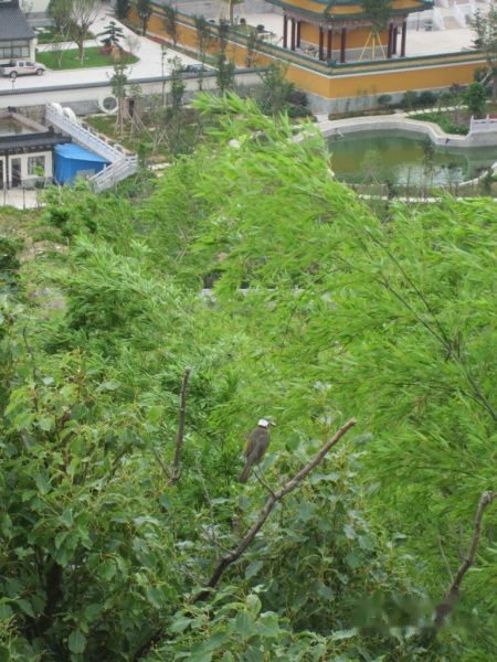 查看照片详细信息 天下民宿