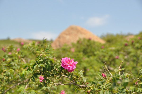 查看照片详细信息 天下民宿