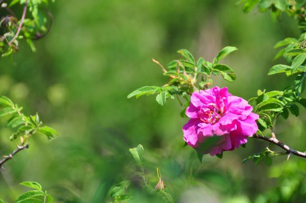 查看照片详细信息 天下民宿