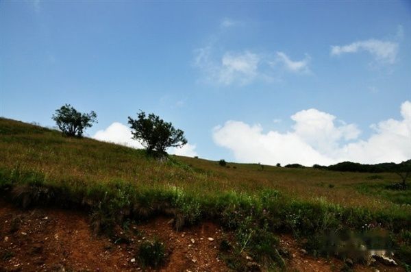 查看照片详细信息 天下民宿