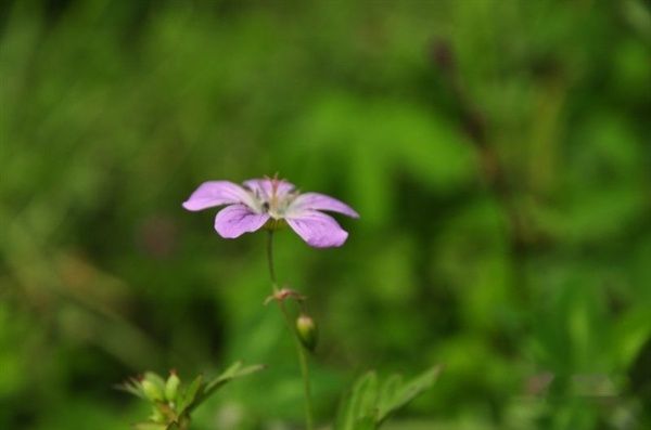 查看照片详细信息 天下民宿