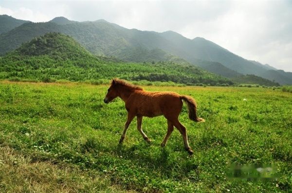 查看照片详细信息 天下民宿
