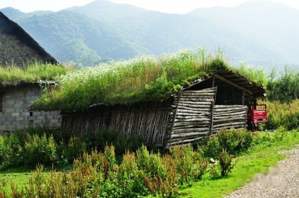 查看照片详细信息 天下民宿