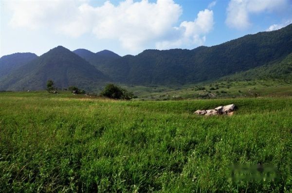 查看照片详细信息 天下民宿
