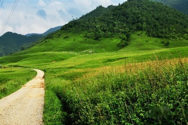 查看照片详细信息 天下民宿