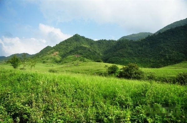 查看照片详细信息 天下民宿