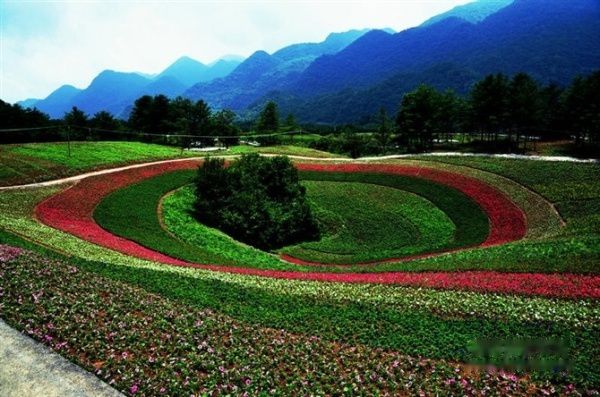 查看照片详细信息 天下民宿