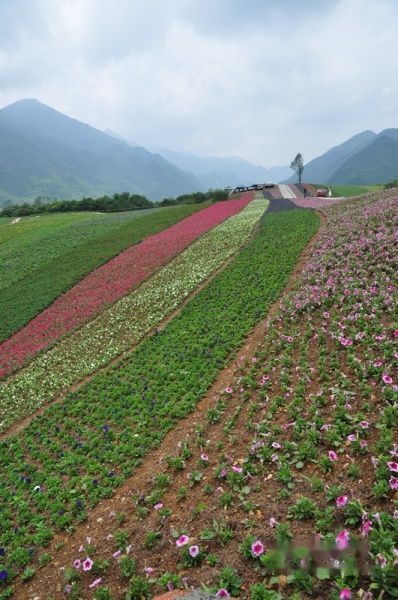 查看照片详细信息 天下民宿