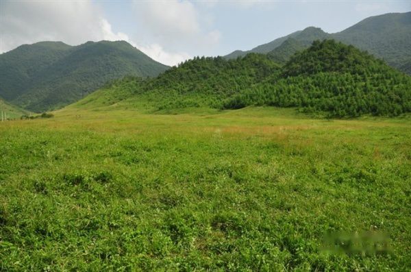 查看照片详细信息 天下民宿