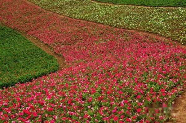 查看照片详细信息 天下民宿