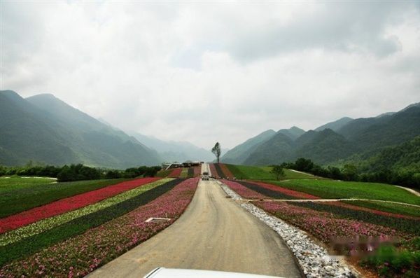 查看照片详细信息 天下民宿