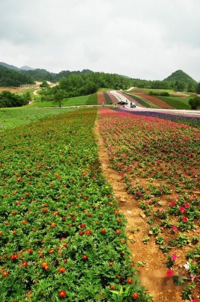 查看照片详细信息 天下民宿