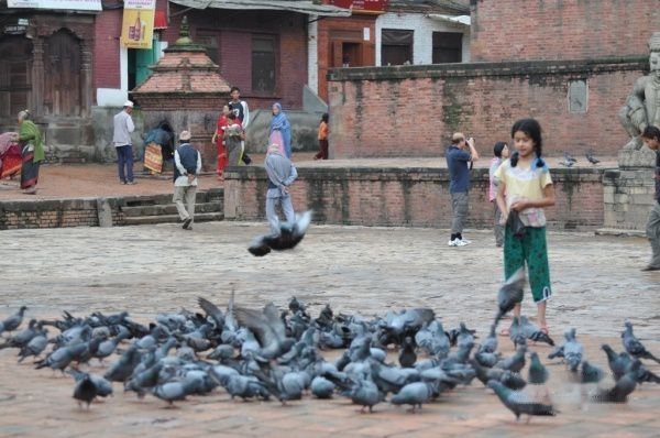 查看照片详细信息 天下民宿