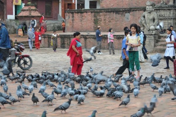 查看照片详细信息 天下民宿