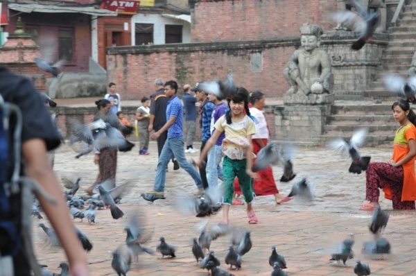 查看照片详细信息 天下民宿