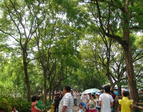 查看照片详细信息 天下民宿