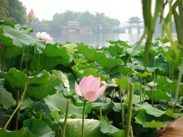 查看照片详细信息 天下民宿