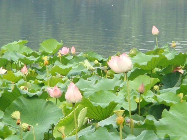 查看照片详细信息 天下民宿