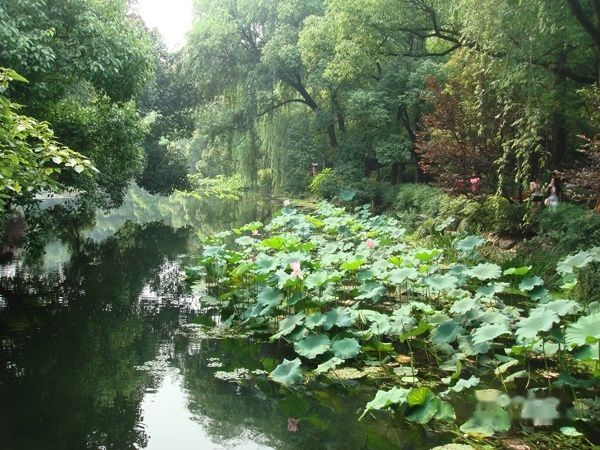 查看照片详细信息 天下民宿