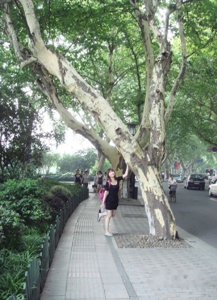 查看照片详细信息 天下民宿