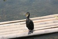 查看照片详细信息 天下民宿