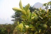 查看照片详细信息 天下民宿