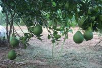 查看照片详细信息 天下民宿