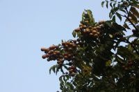 查看照片详细信息 天下民宿