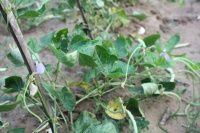 查看照片详细信息 天下民宿