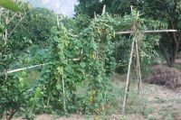 查看照片详细信息 天下民宿